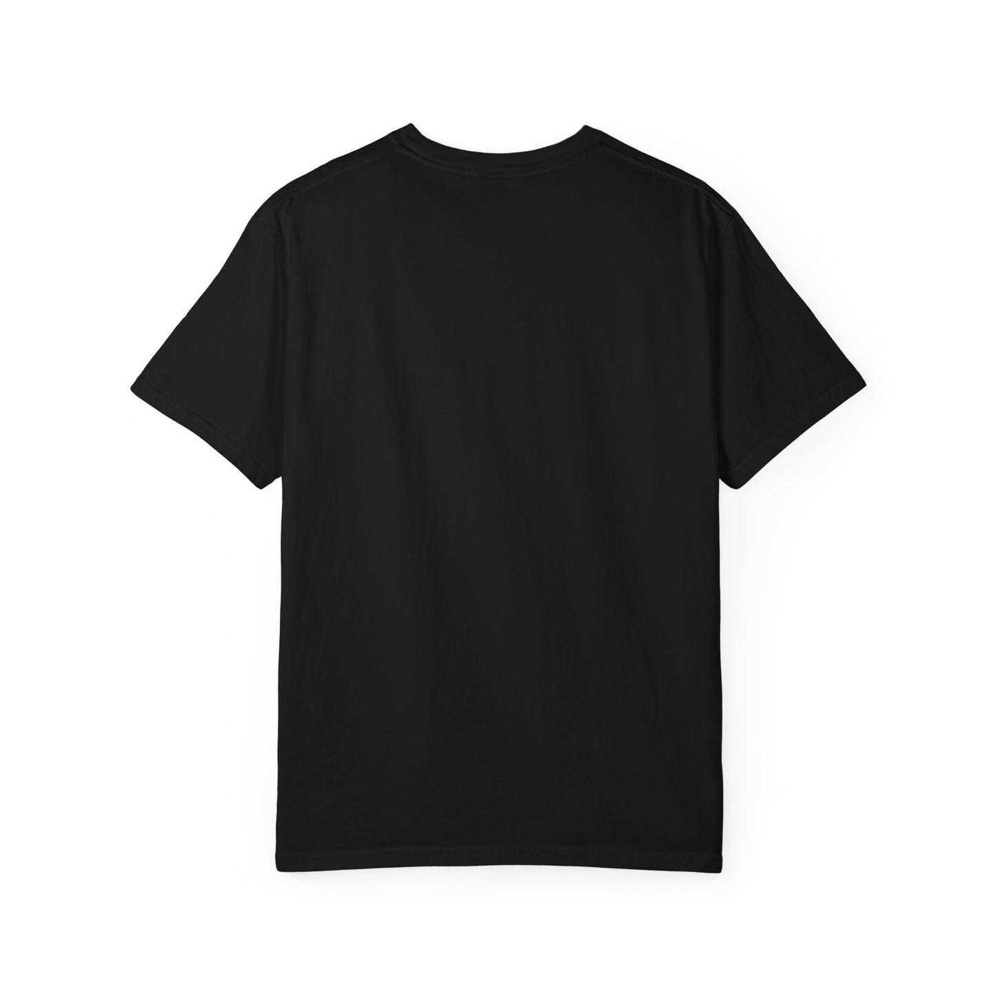 Pain Ain't Permanent T-Shirt, Motivational Tee, Unisex Graphic Shirt, Casual Gift, Everyday Wear, Inspirational Fashion