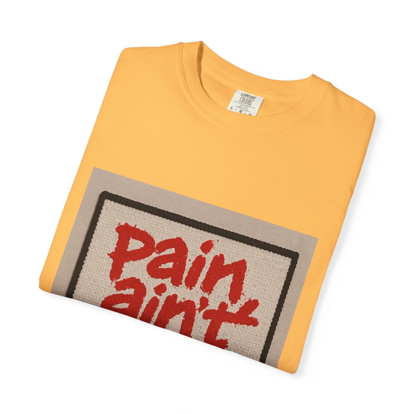 Pain Ain't Permanent T-Shirt, Motivational Tee, Unisex Graphic Shirt, Casual Gift, Everyday Wear, Inspirational Fashion